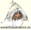 Glser und Dekanter vom Glaskobold